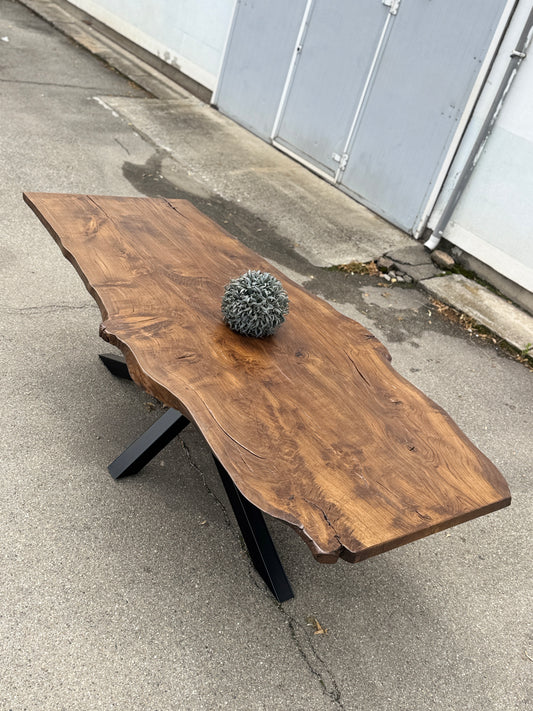 Masa stejar 230/100+